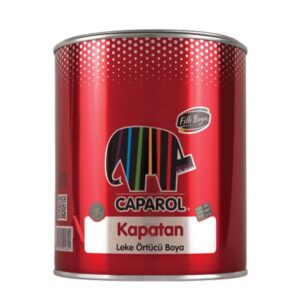 Filli Boya Kapatan Leke Örtücü Boya Mat Doku 0,75 Lt /1 Kg